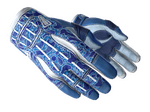 ★ Sport Gloves | Amphibious (Minimal Wear)