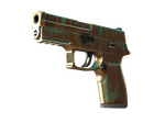P250 | Verdigris (Minimal Wear)