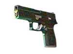 P250 | Visions (Factory New)