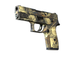 P250 | Contamination (Field-Tested)