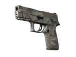 P250 | Facets (Factory New)